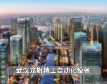 武漢龍旗智能自動化設(shè)備公司